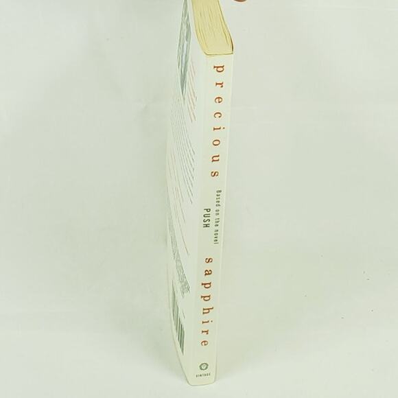 Precious: Based on the Novel Push by Sapphire (Vintage Contemporaries) Paperback - Picture 3 of 4
